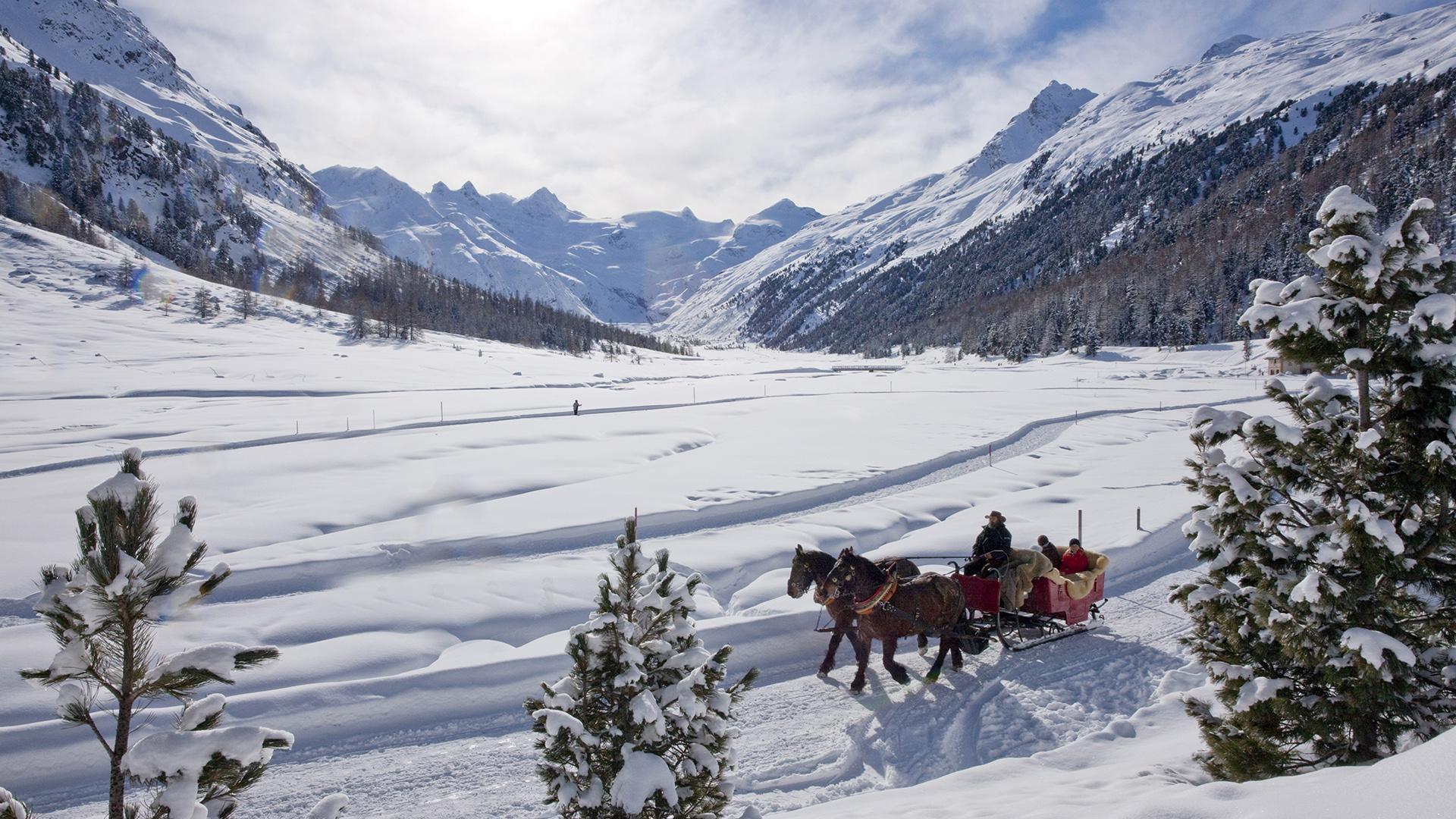 kempinski-destination-st-moritz-horsecarriage - Wayfarer