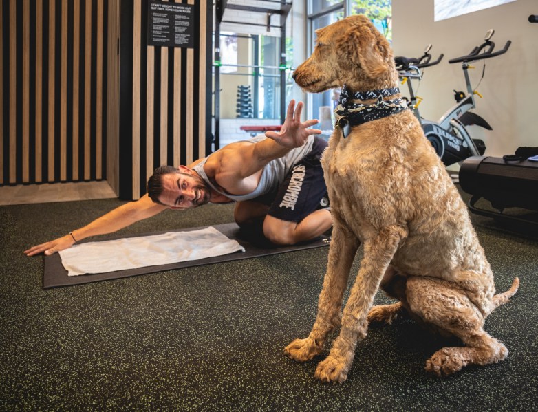 Zagame's House Maitre Z 1 Wayfarer