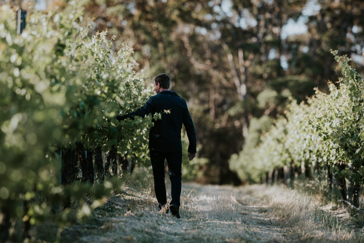 Castle Rock Estate Unveils Latest Riesling Range Wayfarer   Castle Rock Winery EDITED 