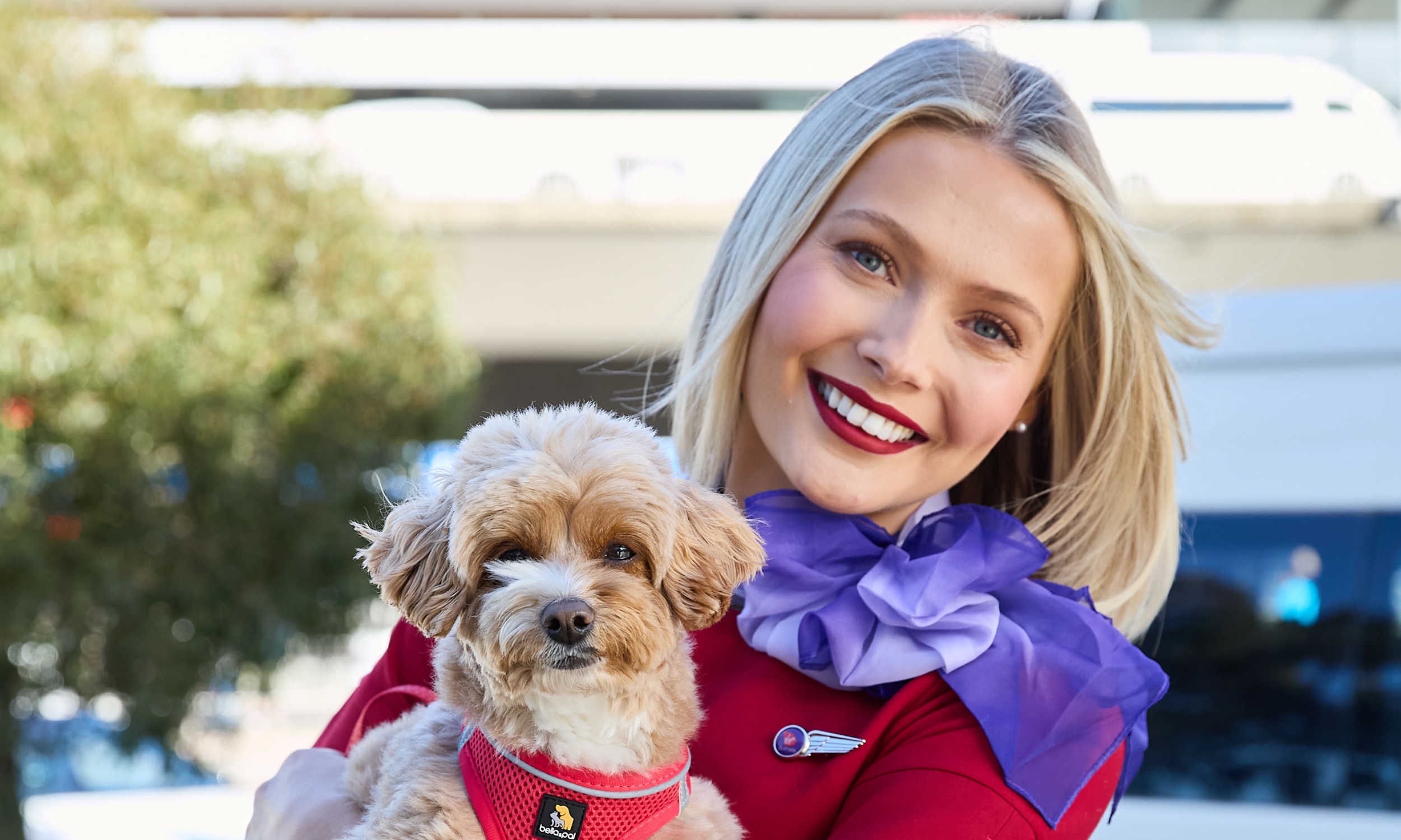 Virgin Australia to allow pets in the cabin on an ongoing basis